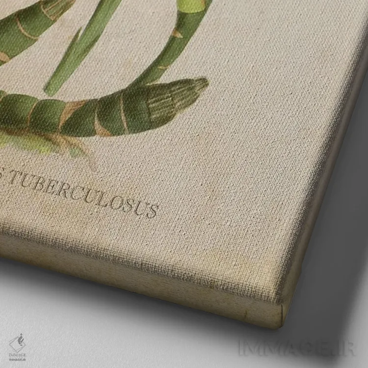 تابلو ارکیده (گلدان وینتیج) اثر پیکسل کهنه (استودیو/نام هنری) - نمای نزدیک بافت بوم