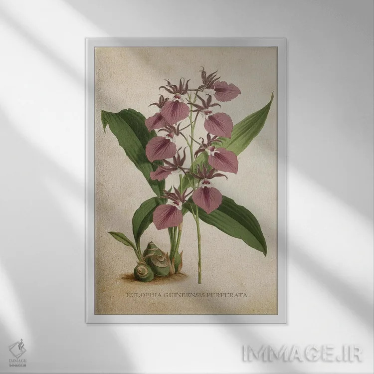 تابلو ارکیده (گلدان وینتیج) اثر پیکسل کهنه (استودیو/نام هنری) - نمای قابدار سفید