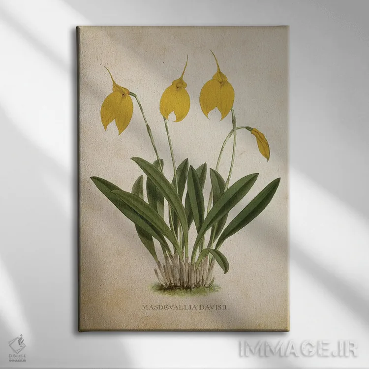 تابلو گل ارکیده (وینتیج) اثر پیکسل کهنه (استودیو/نام هنری) - نمای روبهرو روی دیوار