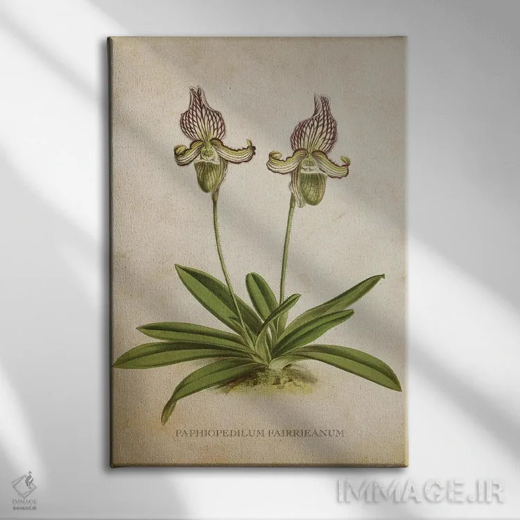 تابلو گل ارکیده (وینتیج) اثر پیکسل کهنه (استودیو/نام هنری) - نمای روبهرو روی دیوار