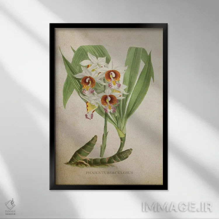 تابلو ارکیده (گلدان وینتیج) اثر پیکسل کهنه (استودیو/نام هنری) - نمای قابدار مشکی