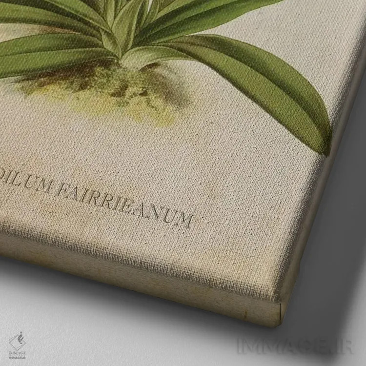 تابلو گل ارکیده (وینتیج) اثر پیکسل کهنه (استودیو/نام هنری) - نمای نزدیک بافت بوم