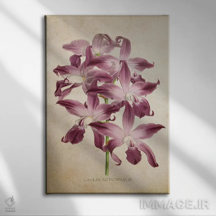 تابلو گل ارکیده (وینتیج) اثر پیکسل کهنه (استودیو/نام هنری) - نمای روبهرو روی دیوار