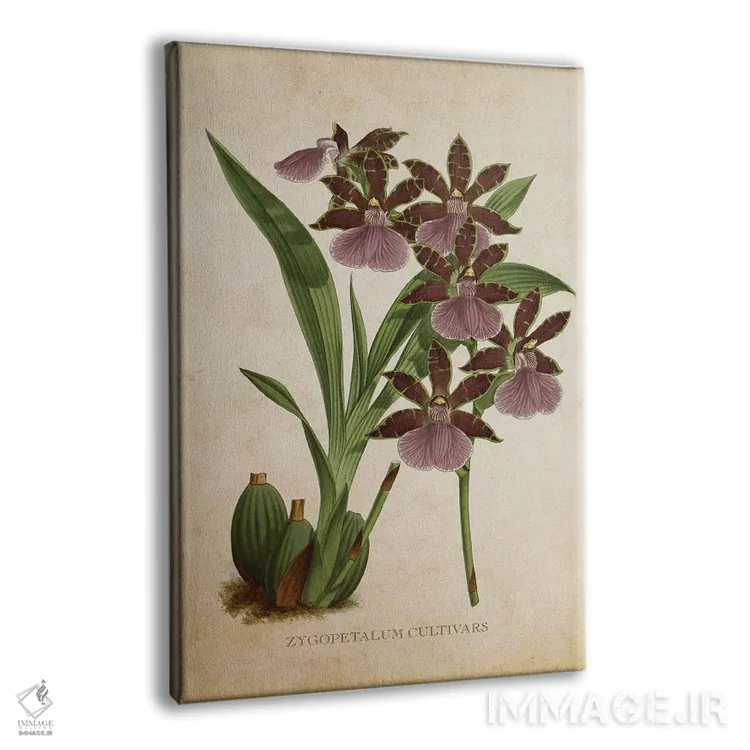 تابلو گل ارکیده (وینتیج) اثر پیکسل کهنه (استودیو/نام هنری) - نمای پرسپکتیو محصول