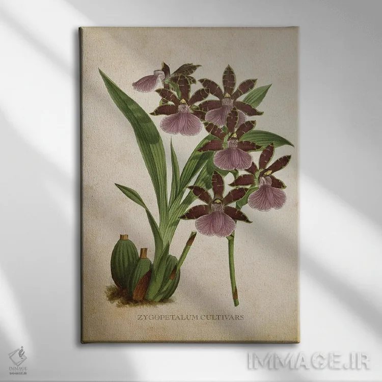 تابلو گل ارکیده (وینتیج) اثر پیکسل کهنه (استودیو/نام هنری) - نمای روبهرو روی دیوار