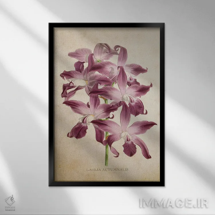تابلو گل ارکیده (وینتیج) اثر پیکسل کهنه (استودیو/نام هنری) - نمای قابدار مشکی
