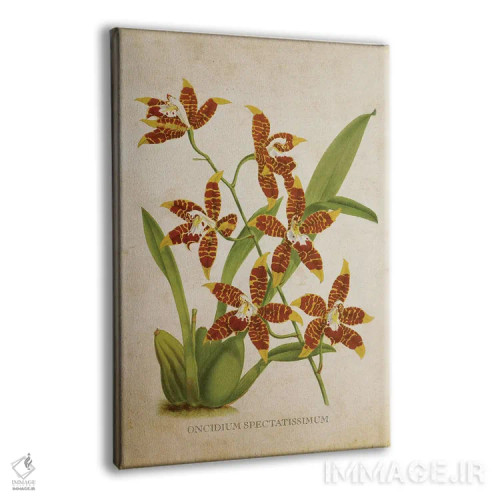تابلو گل ارکیده (وینتیج) اثر پیکسل کهنه (استودیو/نام هنری) - نمای پرسپکتیو محصول