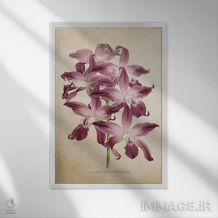 تابلو گل ارکیده (وینتیج) اثر پیکسل کهنه (استودیو/نام هنری) - نمای قابدار سفید