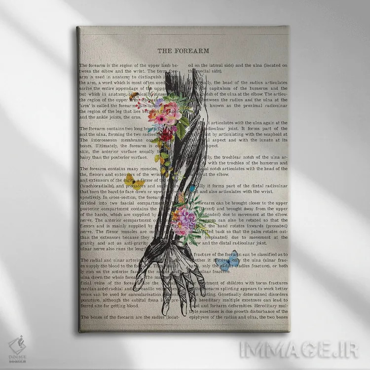 تابلو آناتومی ساعد انسان (به صورت گل) اثر پیکسل کهنه (استودیو/نام هنری) - نمای روبهرو روی دیوار