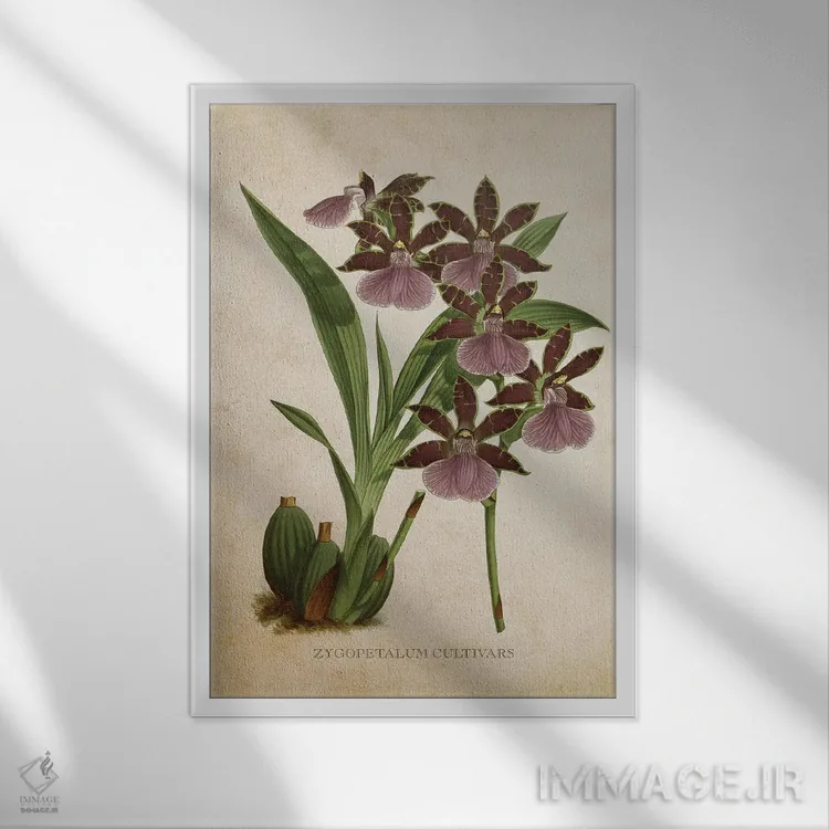 تابلو گل ارکیده (وینتیج) اثر پیکسل کهنه (استودیو/نام هنری) - نمای قابدار سفید