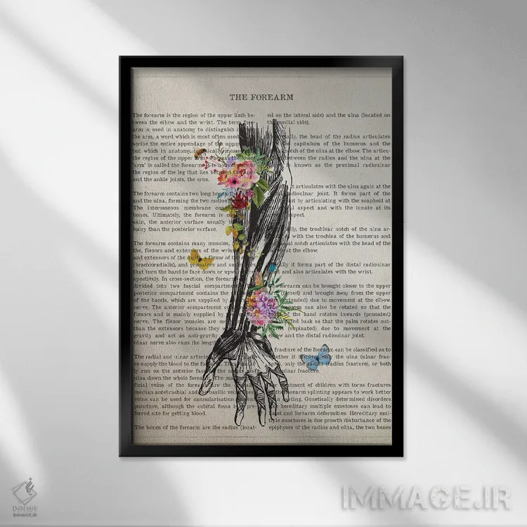 تابلو آناتومی ساعد انسان (به صورت گل) اثر پیکسل کهنه (استودیو/نام هنری) - نمای قابدار مشکی