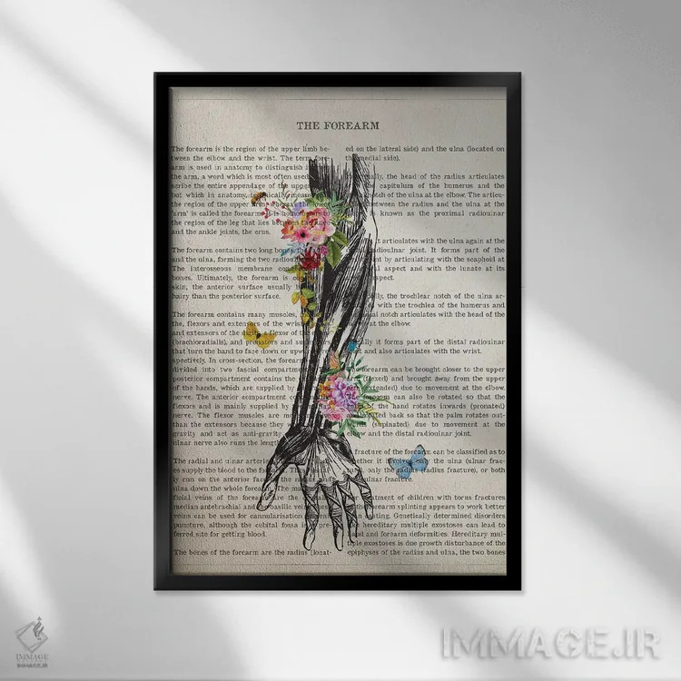 تابلو آناتومی ساعد انسان (به صورت گل) اثر پیکسل کهنه (استودیو/نام هنری) - نمای قابدار مشکی