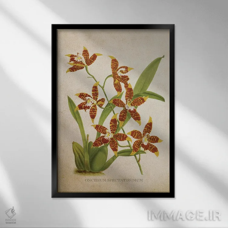 تابلو گل ارکیده (وینتیج) اثر پیکسل کهنه (استودیو/نام هنری) - نمای قابدار مشکی