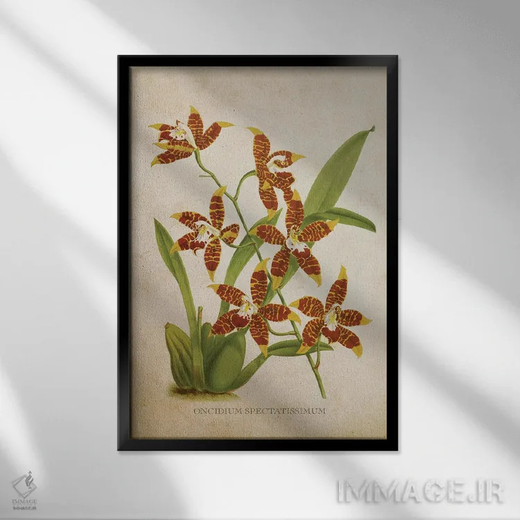 تابلو گل ارکیده (وینتیج) اثر پیکسل کهنه (استودیو/نام هنری) - نمای قابدار مشکی