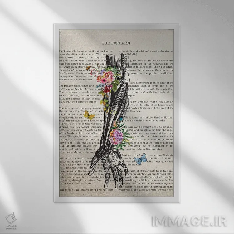 تابلو آناتومی ساعد انسان (به صورت گل) اثر پیکسل کهنه (استودیو/نام هنری) - نمای قابدار سفید
