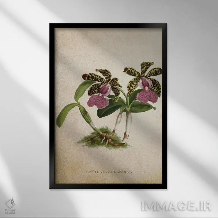 تابلو گل ارکیده (وینتیج) اثر پیکسل کهنه (استودیو/نام هنری) - نمای قابدار مشکی