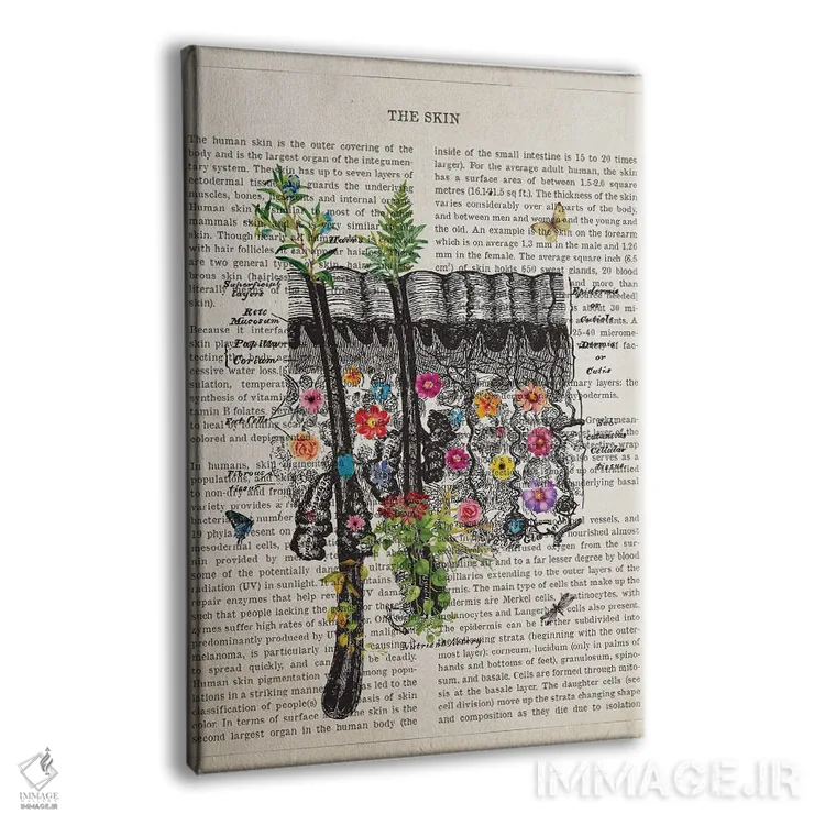 تابلو آناتومی پوست (به صورت گل) اثر پیکسل کهنه (استودیو/نام هنری) - نمای پرسپکتیو محصول