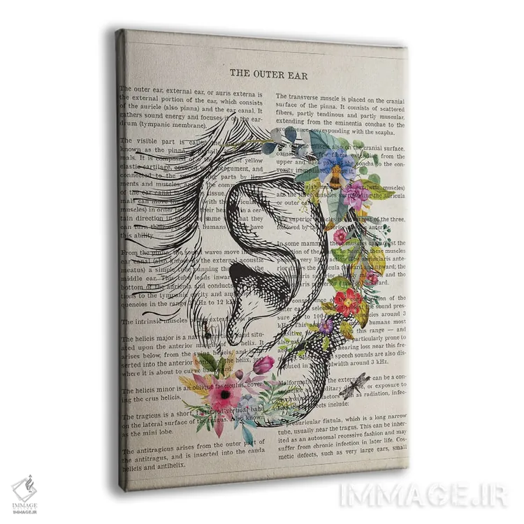 تابلو آناتومی گوش خارجی (به صورت گل) اثر پیکسل کهنه (استودیو/نام هنری) - نمای پرسپکتیو محصول
