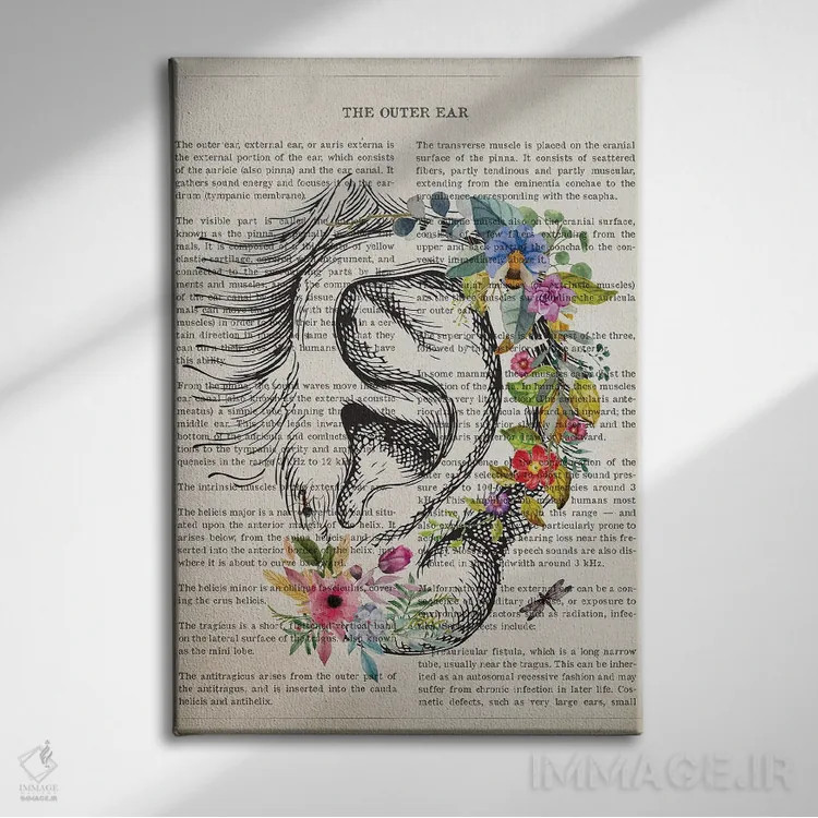 تابلو آناتومی گوش خارجی (به صورت گل) اثر پیکسل کهنه (استودیو/نام هنری) - نمای روبهرو روی دیوار
