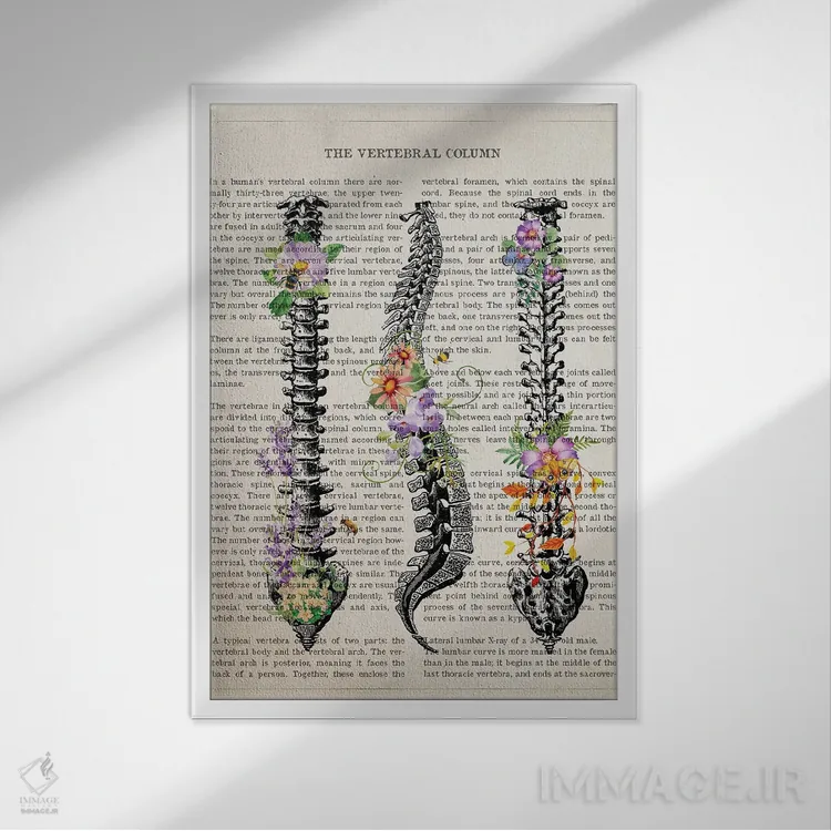 تابلو آناتومی ستون مهرهها (به صورت گلها) اثر پیکسل کهنه (استودیو/نام هنری) - نمای قابدار سفید
