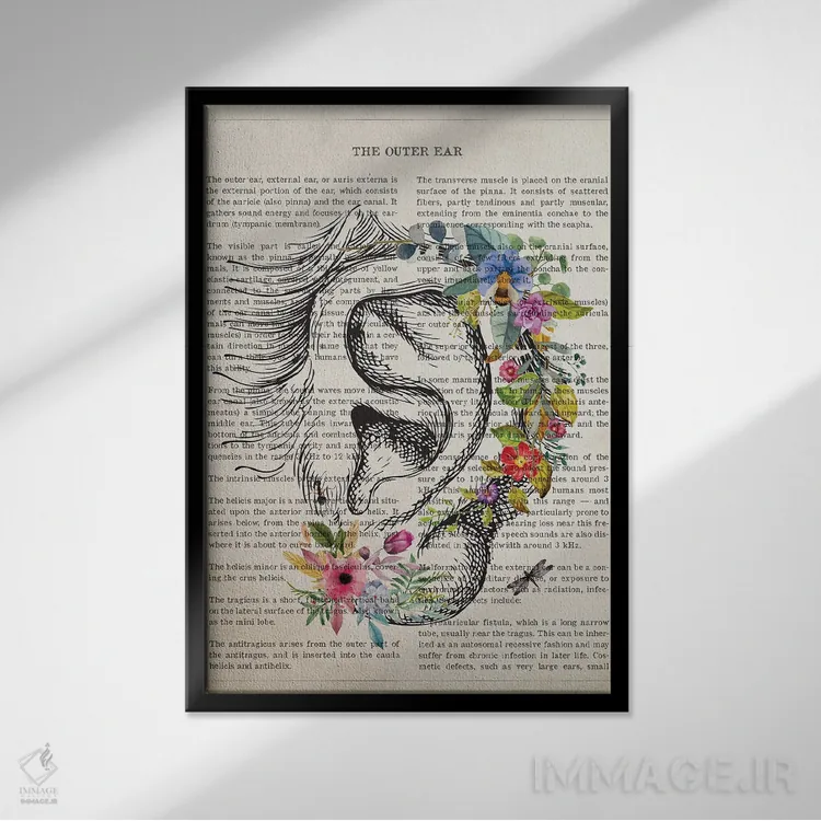 تابلو آناتومی گوش خارجی (به صورت گل) اثر پیکسل کهنه (استودیو/نام هنری) - نمای قابدار مشکی
