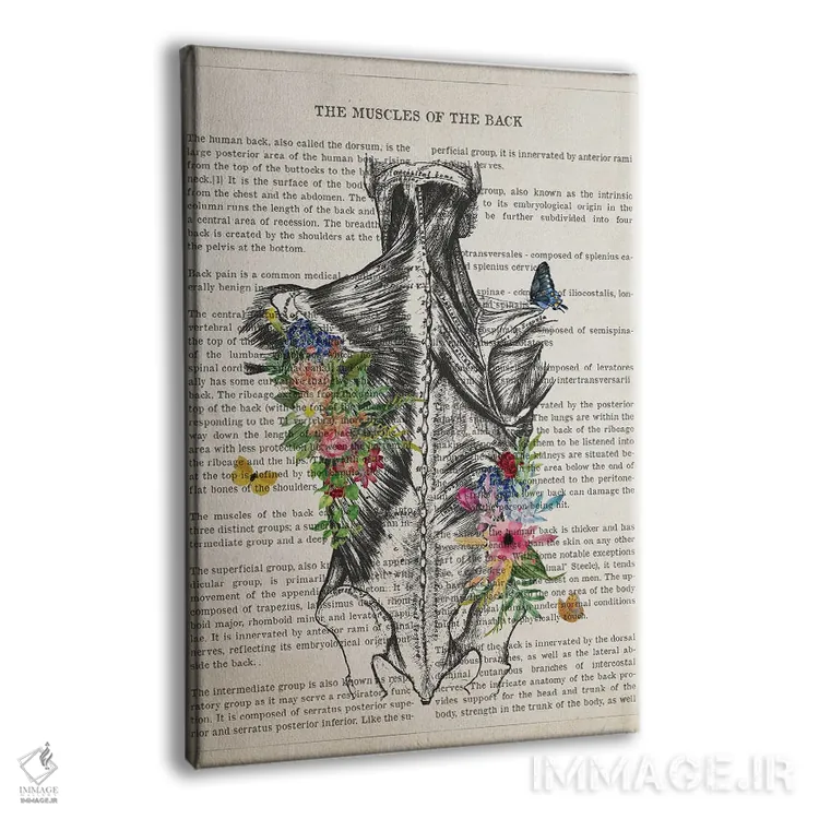 تابلو آناتومی عضلات پشت (به صورت گل) اثر پیکسل کهنه (استودیو/نام هنری) - نمای پرسپکتیو محصول