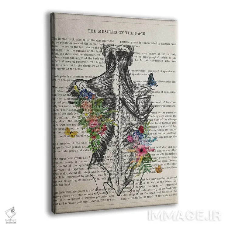 تابلو آناتومی عضلات پشت (به صورت گل) اثر پیکسل کهنه (استودیو/نام هنری) - نمای پرسپکتیو محصول