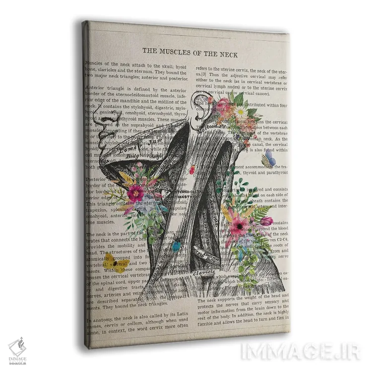 تابلو عضلات گردن آناتومی گل اثر پیکسل کهنه (استودیو/نام هنری) - نمای پرسپکتیو محصول