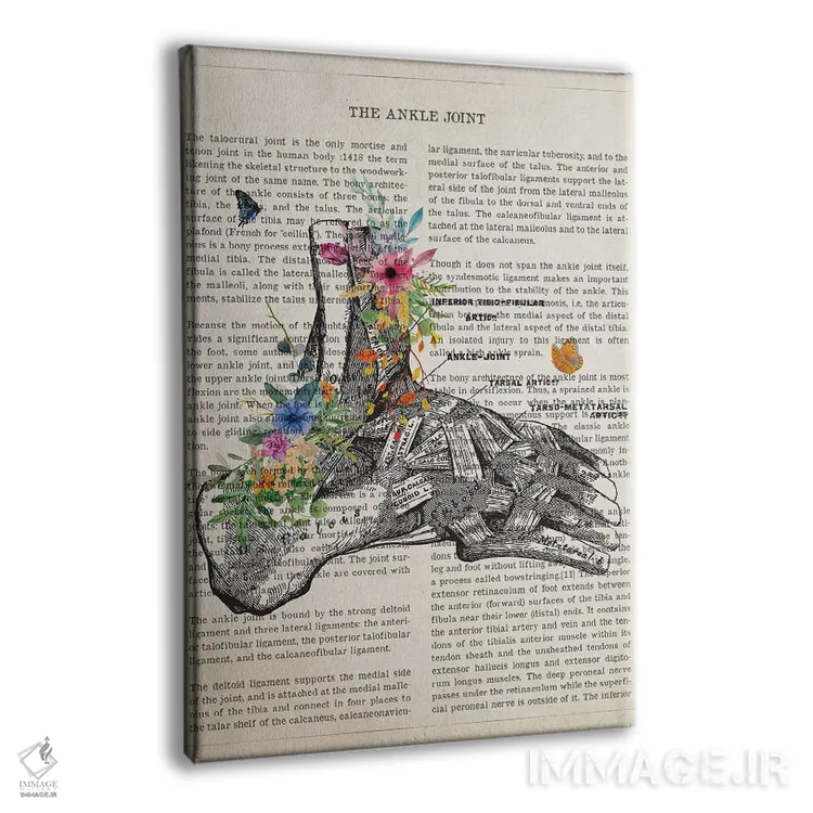 تابلو مفصل مچ پا آناتومی گل اثر پیکسل کهنه (استودیو/نام هنری) - نمای پرسپکتیو محصول