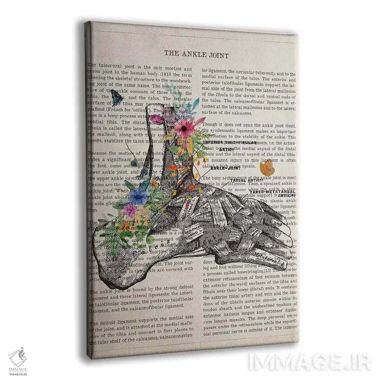 تابلو مفصل مچ پا آناتومی گل اثر پیکسل کهنه (استودیو/نام هنری) - نمای پرسپکتیو محصول