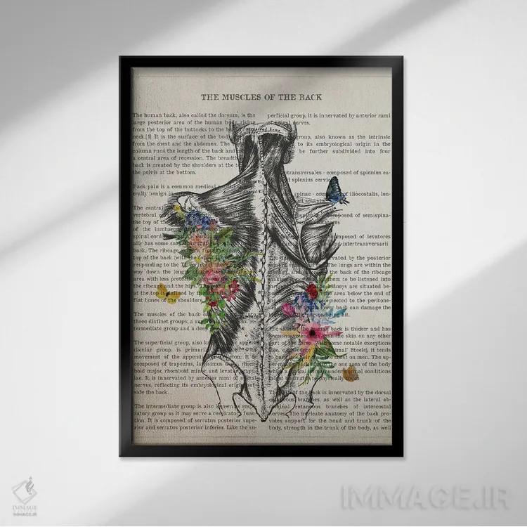 تابلو آناتومی عضلات پشت (به صورت گل) اثر پیکسل کهنه (استودیو/نام هنری) - نمای قابدار مشکی