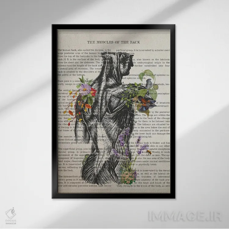 تابلو آناتومی عضلات پشت اثر پیکسل کهنه (استودیو/نام هنری) - نمای قابدار مشکی