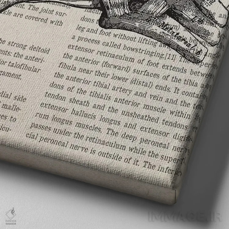 تابلو مفصل مچ پا آناتومی گل اثر پیکسل کهنه (استودیو/نام هنری) - نمای نزدیک بافت بوم