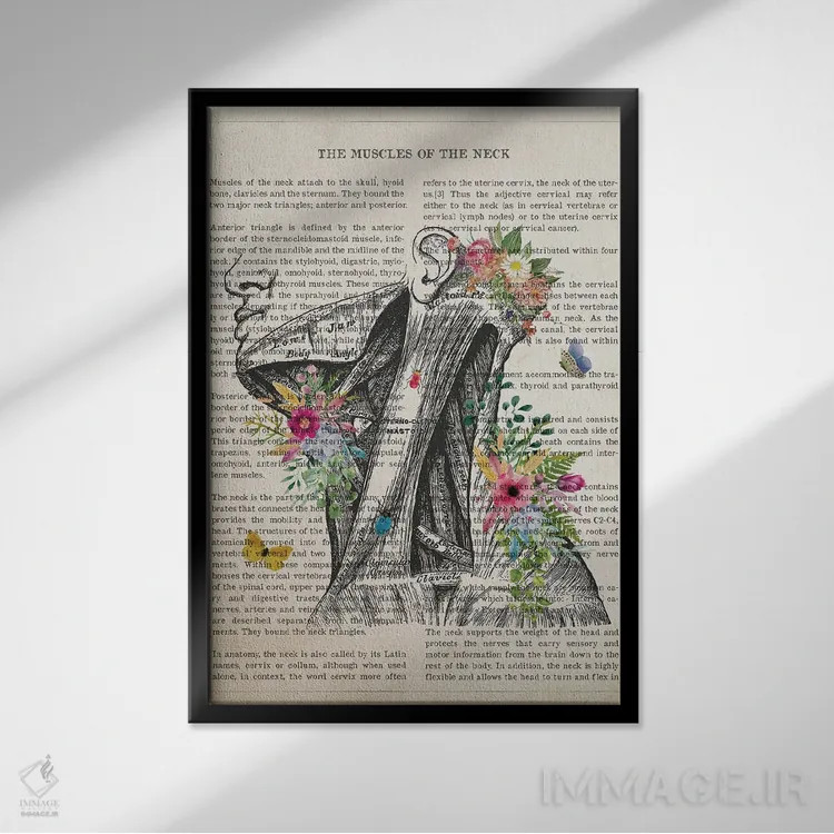 تابلو عضلات گردن آناتومی گل اثر پیکسل کهنه (استودیو/نام هنری) - نمای قابدار مشکی