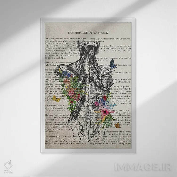 تابلو آناتومی عضلات پشت (به صورت گل) اثر پیکسل کهنه (استودیو/نام هنری) - نمای قابدار سفید