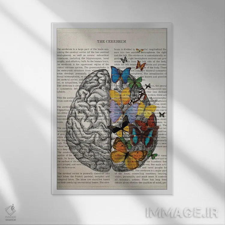 تابلو هنر مغز آناتومی پروانه اثر پیکسل کهنه (استودیو/نام هنری) - نمای قابدار سفید