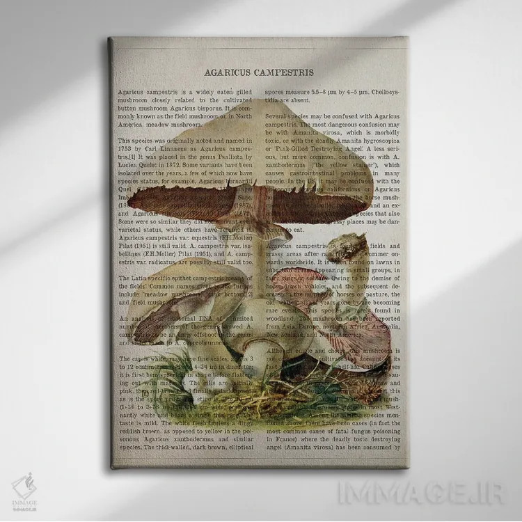 تابلو قارچ آگاریکوس کمپستر (قارچ دکمهای مزرعهای) اثر پیکسل کهنه (استودیو/نام هنری) - نمای روبهرو روی دیوار