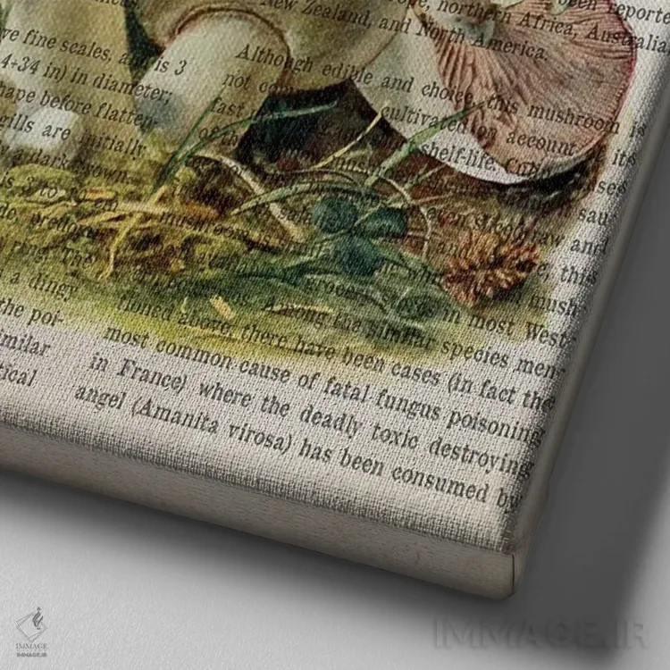 تابلو قارچ آگاریکوس کمپستر (قارچ دکمهای مزرعهای) اثر پیکسل کهنه (استودیو/نام هنری) - نمای نزدیک بافت بوم