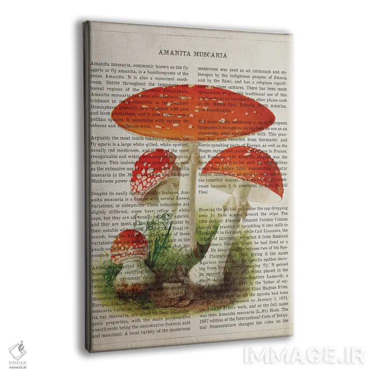 تابلو قارچ آمانیتا موسکاریا (قارچ سمی مکلف به قرمز با لکههای سفید) اثر پیکسل کهنه (استودیو/نام هنری) - نمای پرسپکتیو محصول