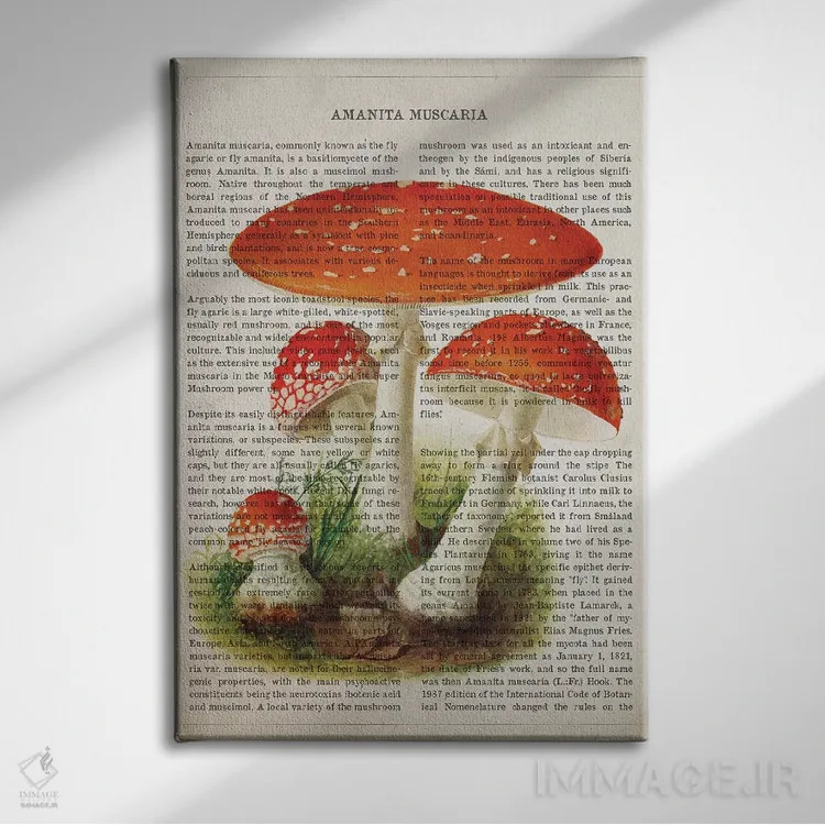 تابلو قارچ آمانیتا موسکاریا (قارچ سمی مکلف به قرمز با لکههای سفید) اثر پیکسل کهنه (استودیو/نام هنری) - نمای روبهرو روی دیوار