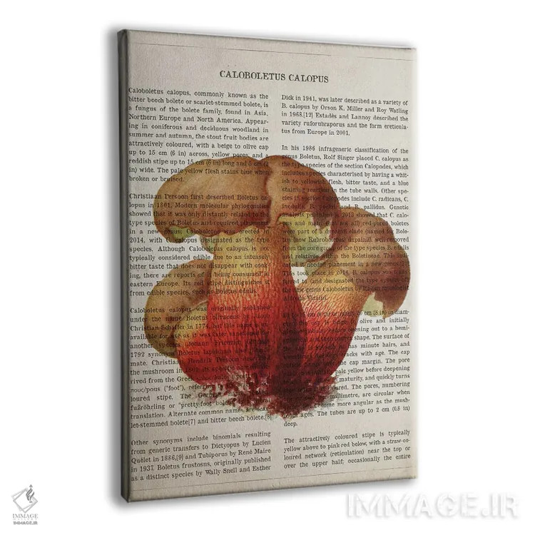 تابلو قارچ کالوبولتوس کالوپوس اثر پیکسل کهنه (استودیو/نام هنری) - نمای پرسپکتیو محصول
