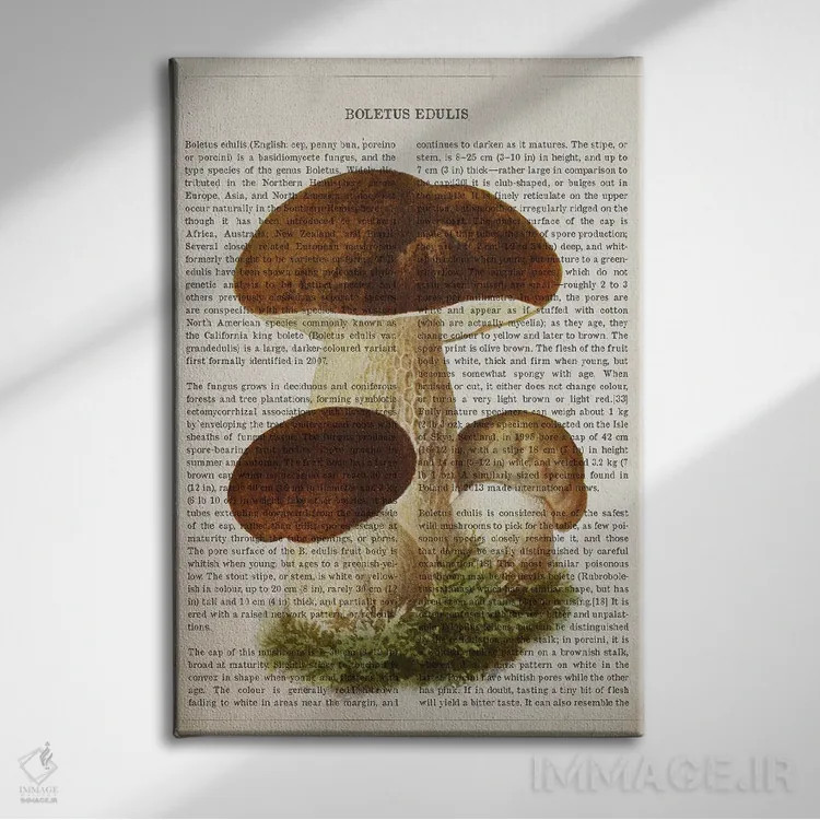 تابلو قارچ بولتوس ادولیس (قارچ شاهبلوطی خوراکی) اثر پیکسل کهنه (استودیو/نام هنری) - نمای روبهرو روی دیوار