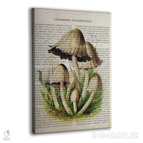 تابلو قارچ جوهری معمولی اثر پیکسل کهنه (استودیو/نام هنری) - نمای پرسپکتیو محصول