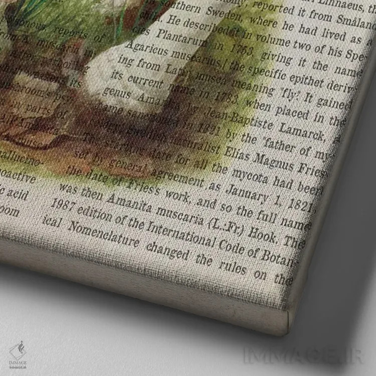 تابلو قارچ آمانیتا موسکاریا (قارچ سمی مکلف به قرمز با لکههای سفید) اثر پیکسل کهنه (استودیو/نام هنری) - نمای نزدیک بافت بوم