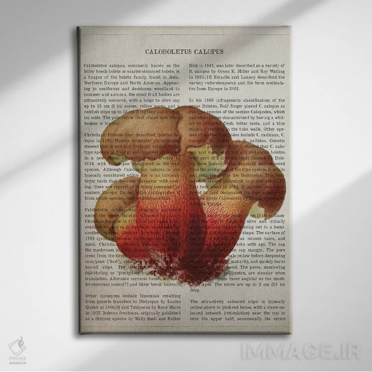 تابلو قارچ کالوبولتوس کالوپوس اثر پیکسل کهنه (استودیو/نام هنری) - نمای روبهرو روی دیوار