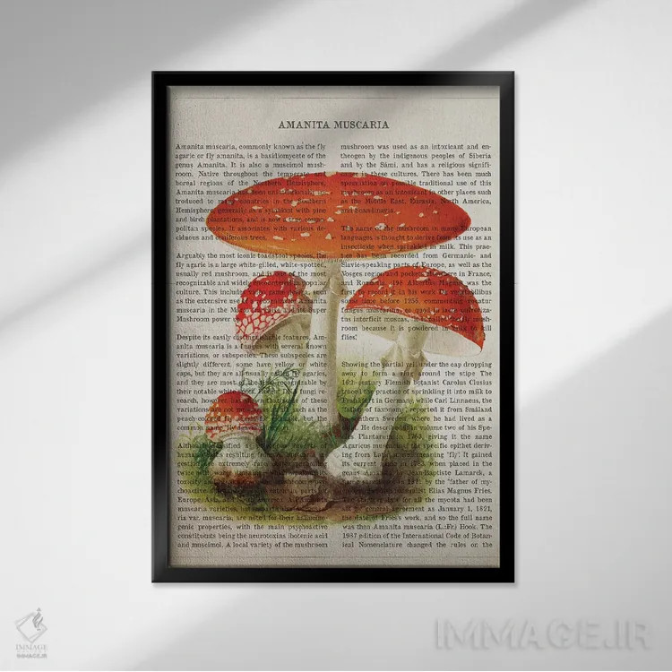 تابلو قارچ آمانیتا موسکاریا (قارچ سمی مکلف به قرمز با لکههای سفید) اثر پیکسل کهنه (استودیو/نام هنری) - نمای قابدار مشکی