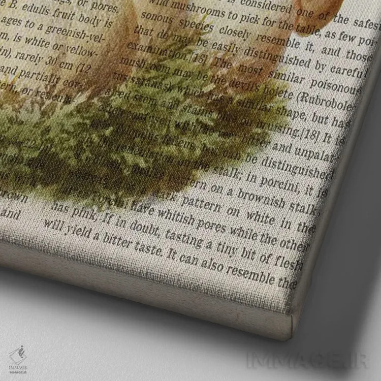 تابلو قارچ بولتوس ادولیس (قارچ شاهبلوطی خوراکی) اثر پیکسل کهنه (استودیو/نام هنری) - نمای نزدیک بافت بوم