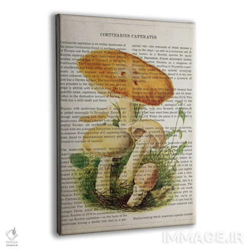 تابلو قارچ کرتینداریوس کاپراتوس اثر پیکسل کهنه (استودیو/نام هنری) - نمای پرسپکتیو محصول