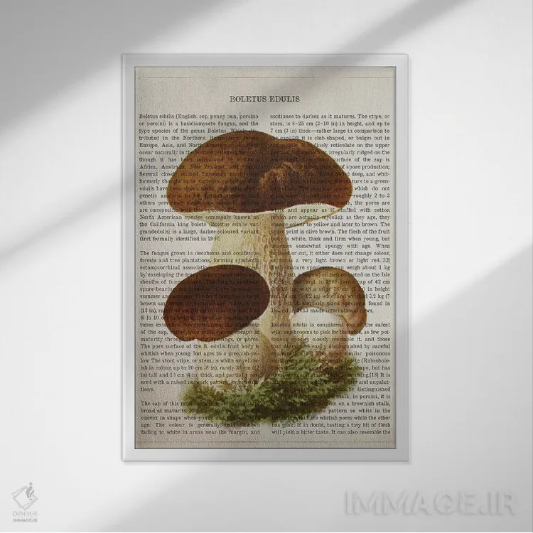 تابلو قارچ بولتوس ادولیس (قارچ شاهبلوطی خوراکی) اثر پیکسل کهنه (استودیو/نام هنری) - نمای قابدار سفید
