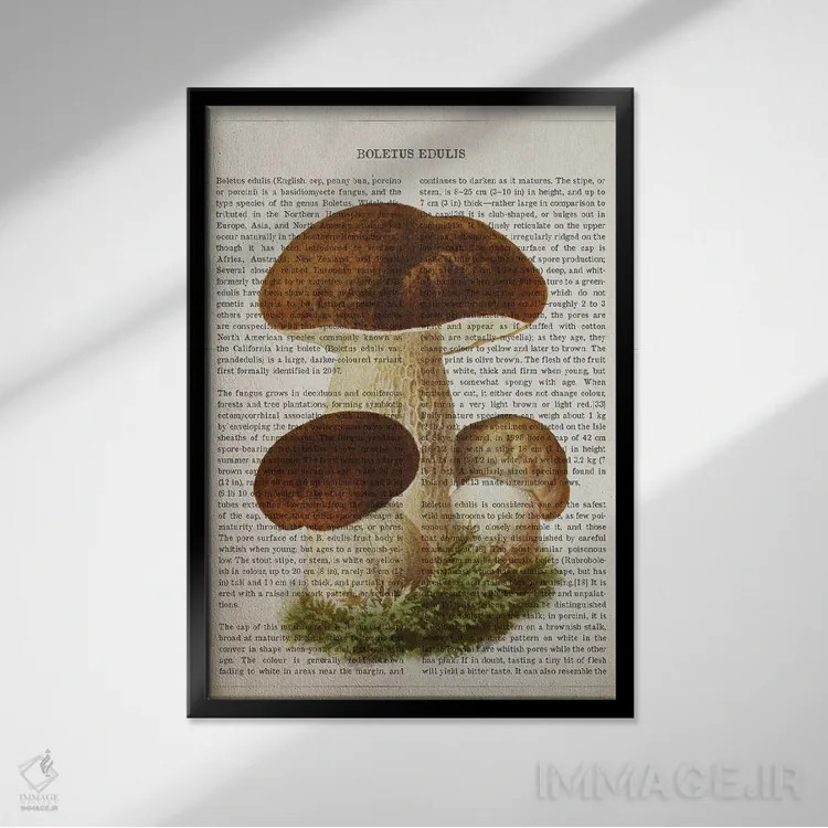 تابلو قارچ بولتوس ادولیس (قارچ شاهبلوطی خوراکی) اثر پیکسل کهنه (استودیو/نام هنری) - نمای قابدار مشکی